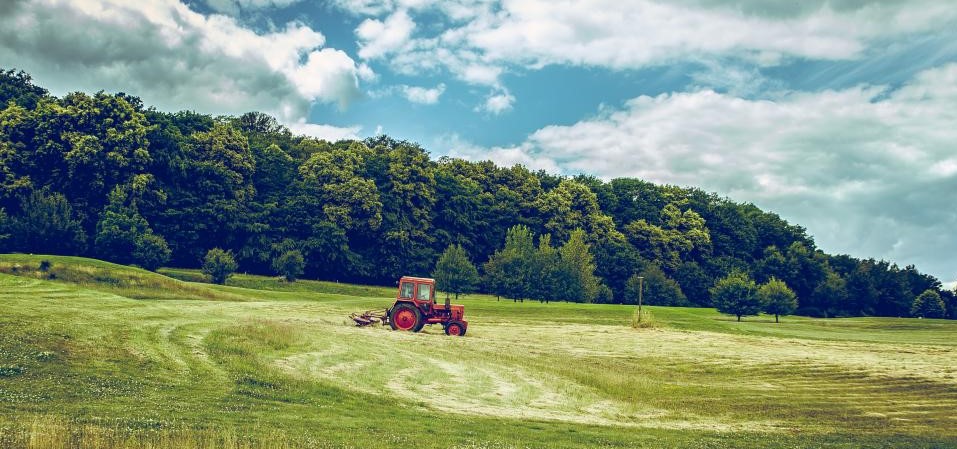 Javni poziv potencijalnim korisnicima bespovratnih sredstava za mjeru podrške investicijama za poboljšanje adaptacije na klimatske promjene u primarnoj poljoprivrednoj proizvodnji u BiH